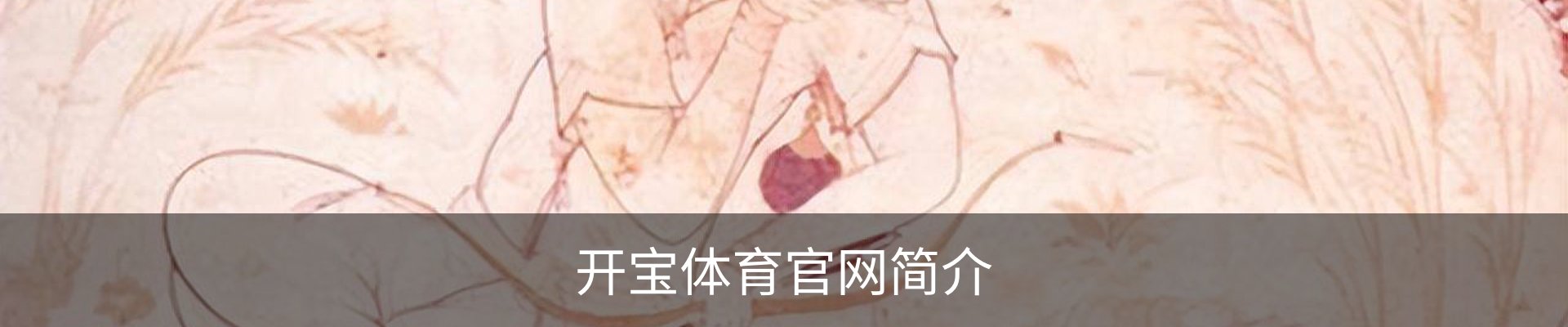 开宝体育官网简介